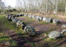 La forêt de Brocéliande, haut lieu magique et porte des secrets. La forêt de Brocéliande, haut lieu magique et porte des secrets.