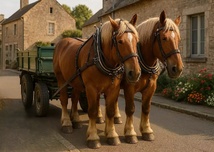 Billet d'humeur… Les pense-petits du bien-être animal